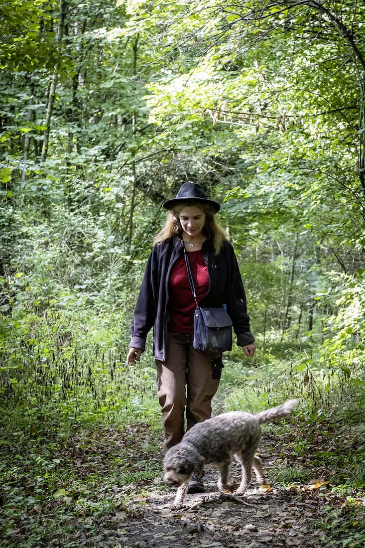 Hysope, chienne futée de la race lagotto romagnolo, a flairé une odeur de truffe. Sa maîtresse, la caveuse vaudoise Laurence Sachot, se dépêche de vérifier si le précieux champignon est bien là.
