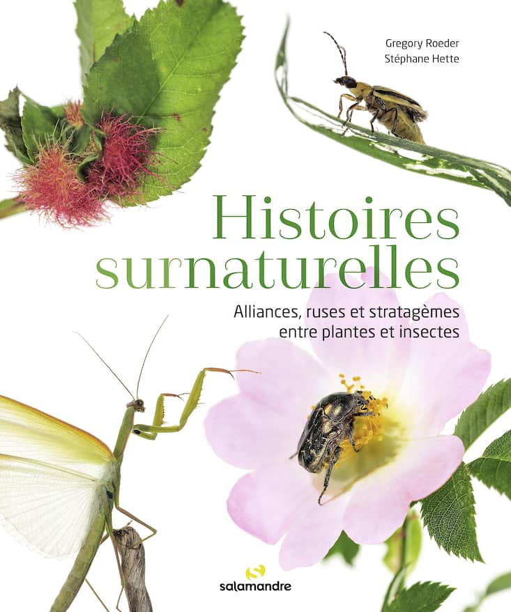livre Histoires surnaturelles