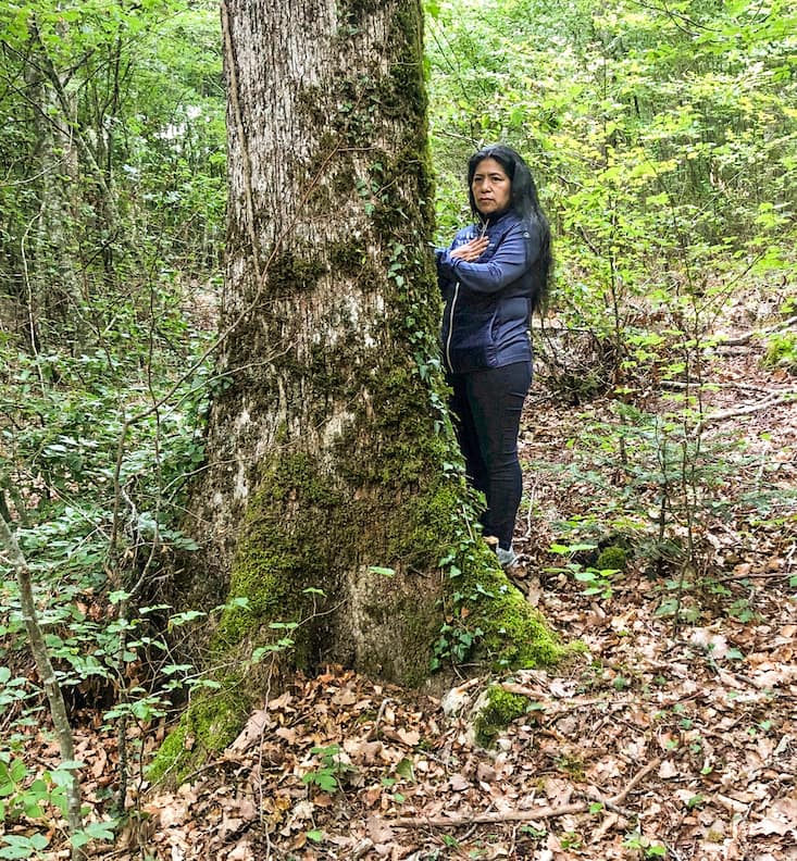 Les coulisses de l'atelier bain de forêt de L'illustré en juillet 2023