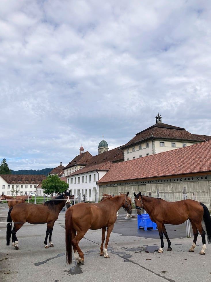 Le haras d’Einsiedeln étant un important centre d’élevage de chevaux depuis plus de mille ans.