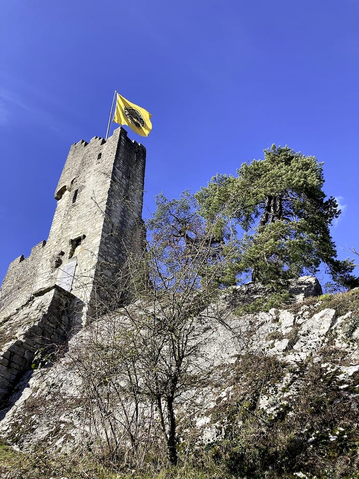 Les ruines du château de Stein à Baden
