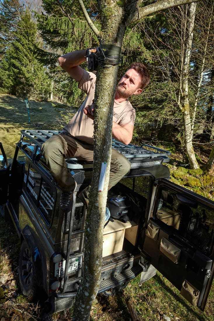 Le photographe animalier Julien Regamey sillonne sans relâche les forêts du Jura vaudois