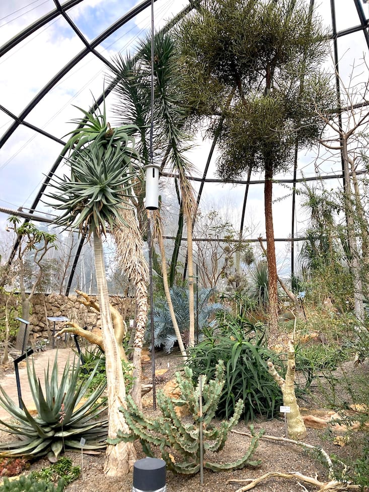 Le jardin botanique