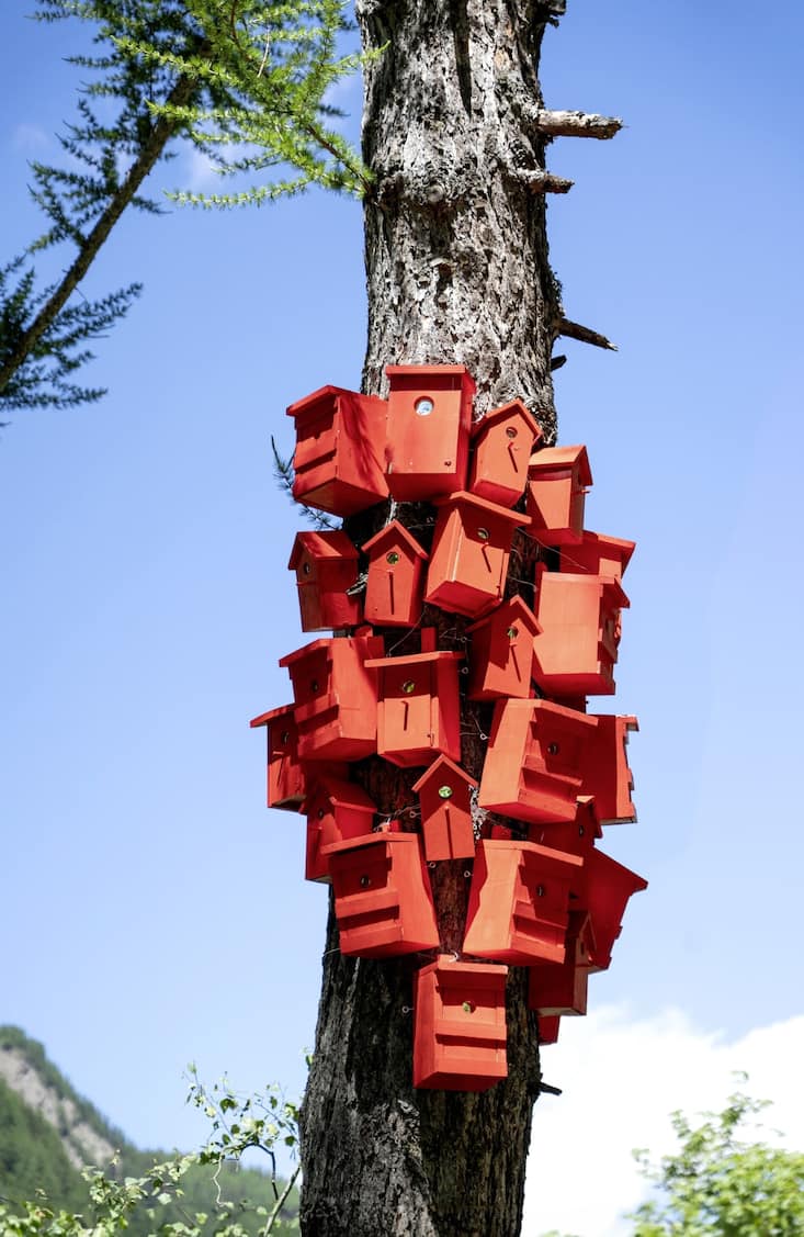 Les gorges de la Twingi, en Haut-Valais, accueillent des œuvres d’art contemporain