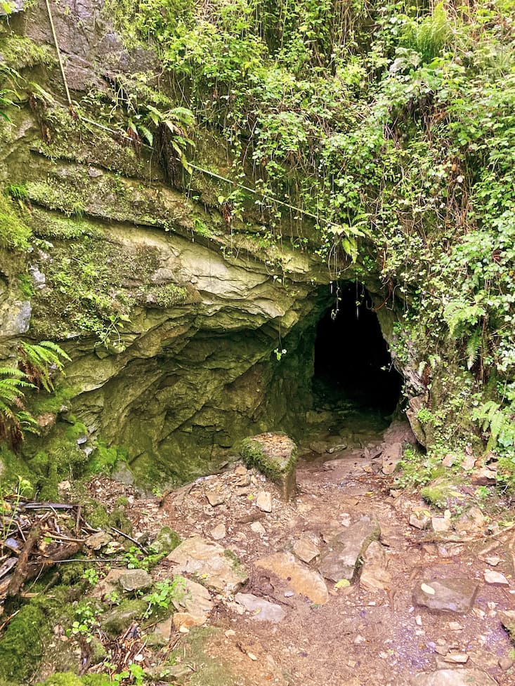 Les gorges de la Vièze