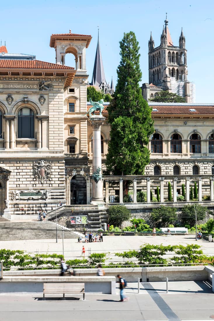 Un cèdre à encens veille sur le palais de Rumine à Lausanne