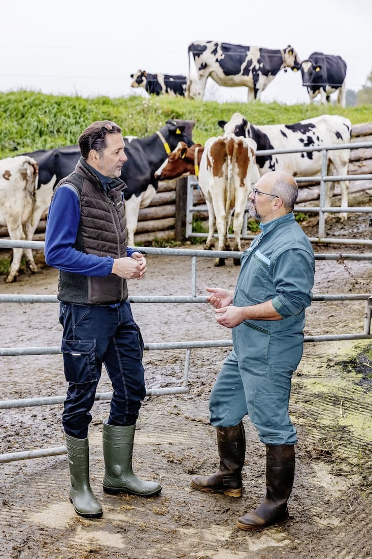 Visite à la ferme Roy à Porrentruy un jour de soins vétérinaires où les vaches sont atteintes de la maladie de la langue bleue