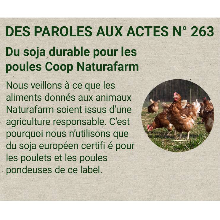 coop box