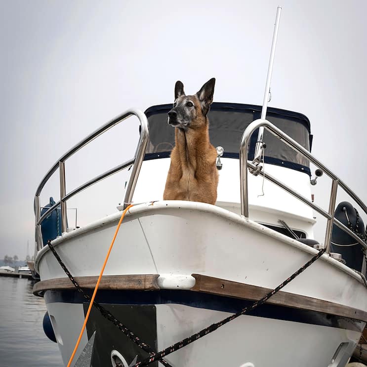 Vivre autrement bateau