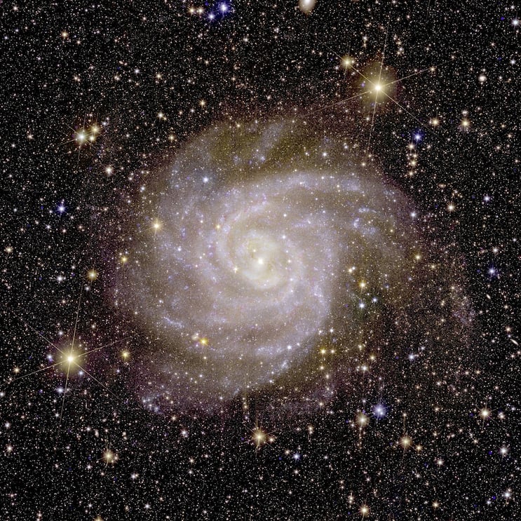 la galaxie spirale IC 342